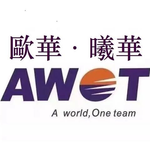 AWOT GLOBAL HOLDINGS LIMITED logo