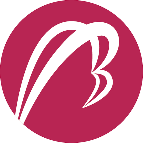 Betatron Limited logo