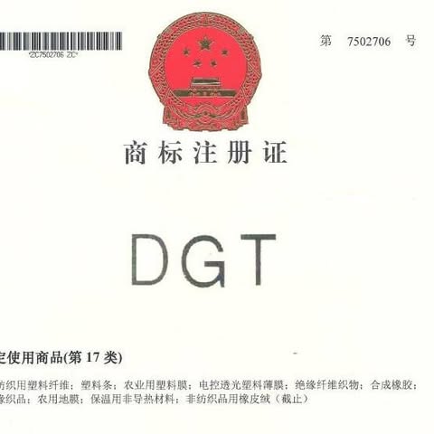 DGT Enterprises Limited logo