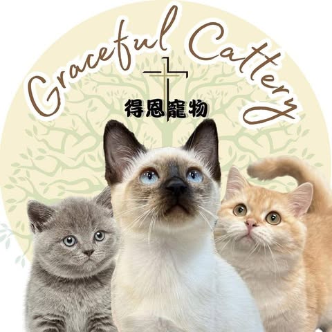 Graceful Cattery Limited logo