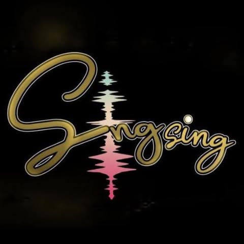 SINGSING ASIA LIMITED logo
