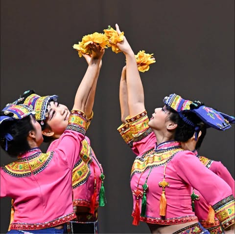 THE SPROUT DANCE LIMITED logo