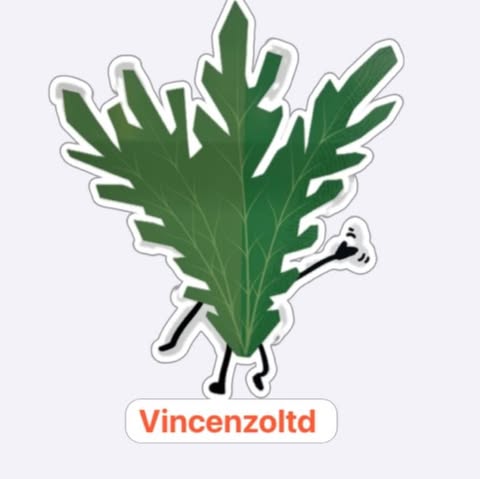 Vincenzo Limited logo